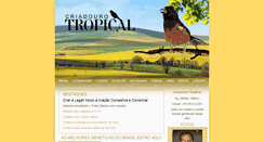 Desktop Screenshot of criadourotropical.com.br