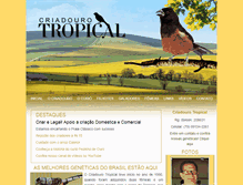 Tablet Screenshot of criadourotropical.com.br